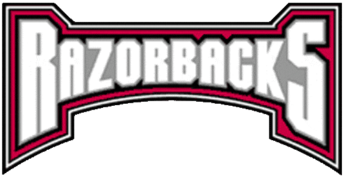 Arkansas Razorbacks 2001-2008 Wordmark Logo v5 diy DTF decal sticker